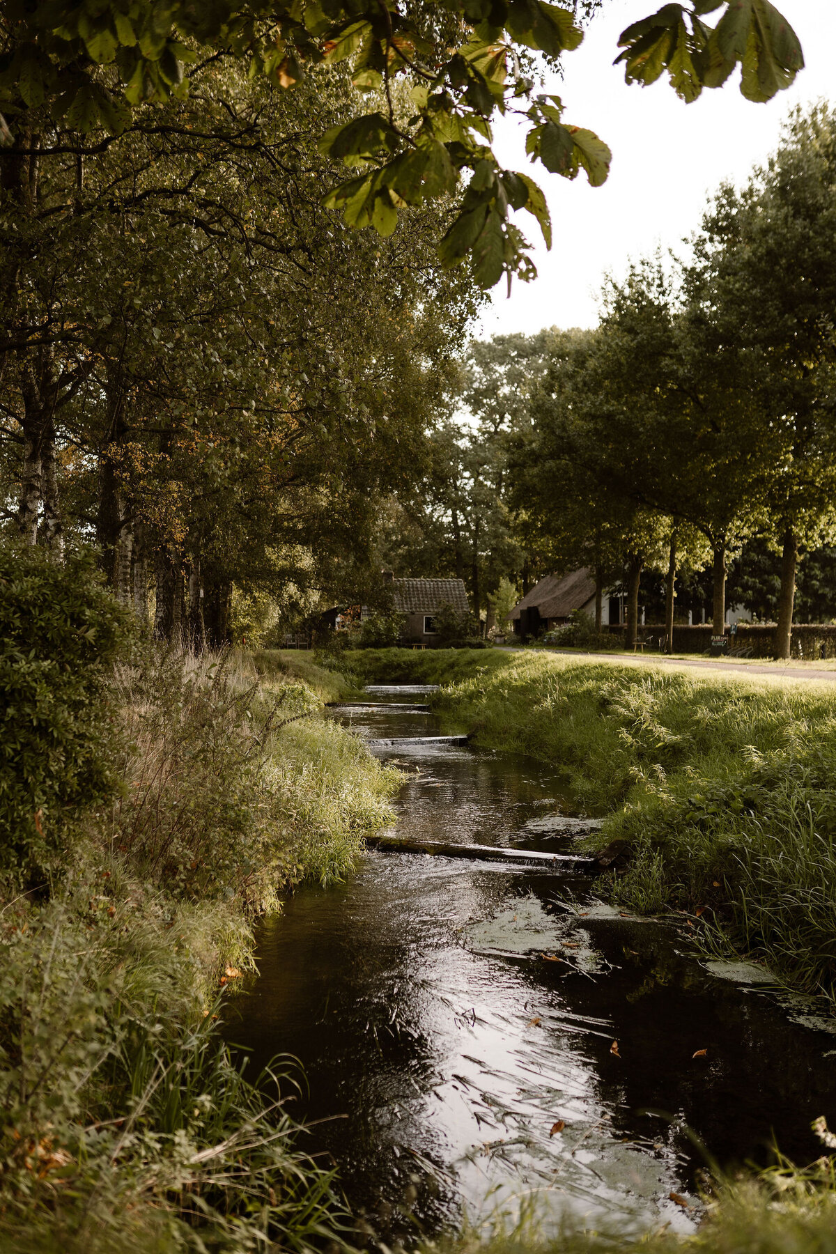ICUFotografie-Job&Alda-37