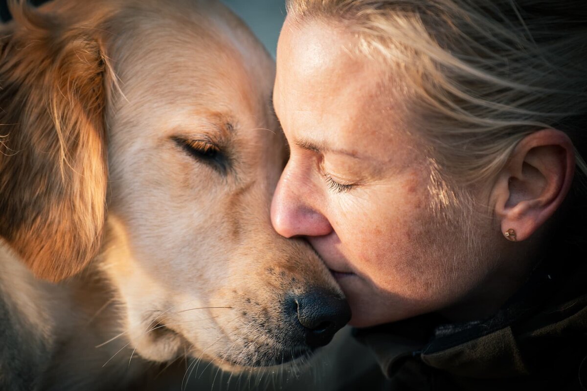 Hundfotografering-människans-bästa-vän