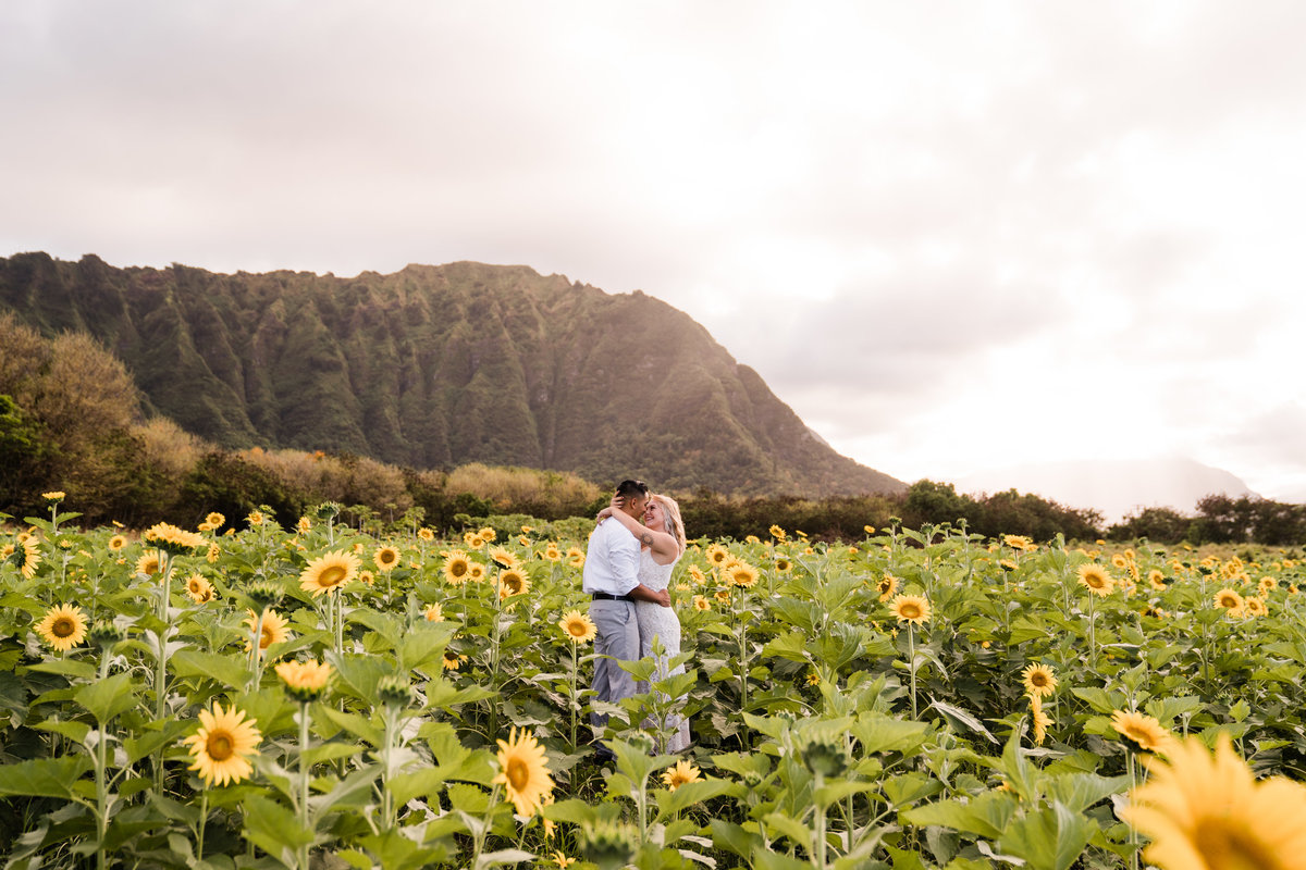 waimanalo-country-farms-sunflower-field-elopement-sydney-and-ryan-photography-1