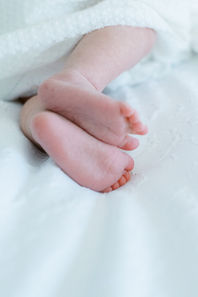 winston-salem-newborn-photographer31