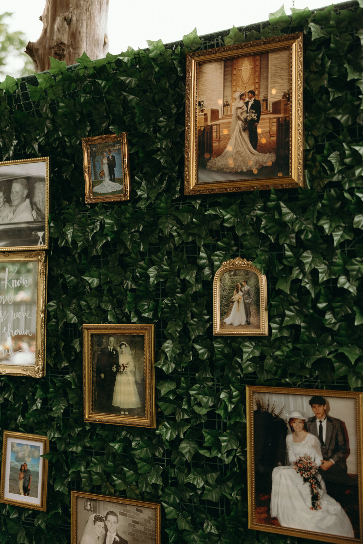 Outdoor Virginia Wedding by Richmond VA Wedding Photographer