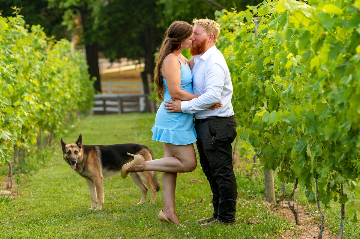 RoslynFarm-722-Edit
