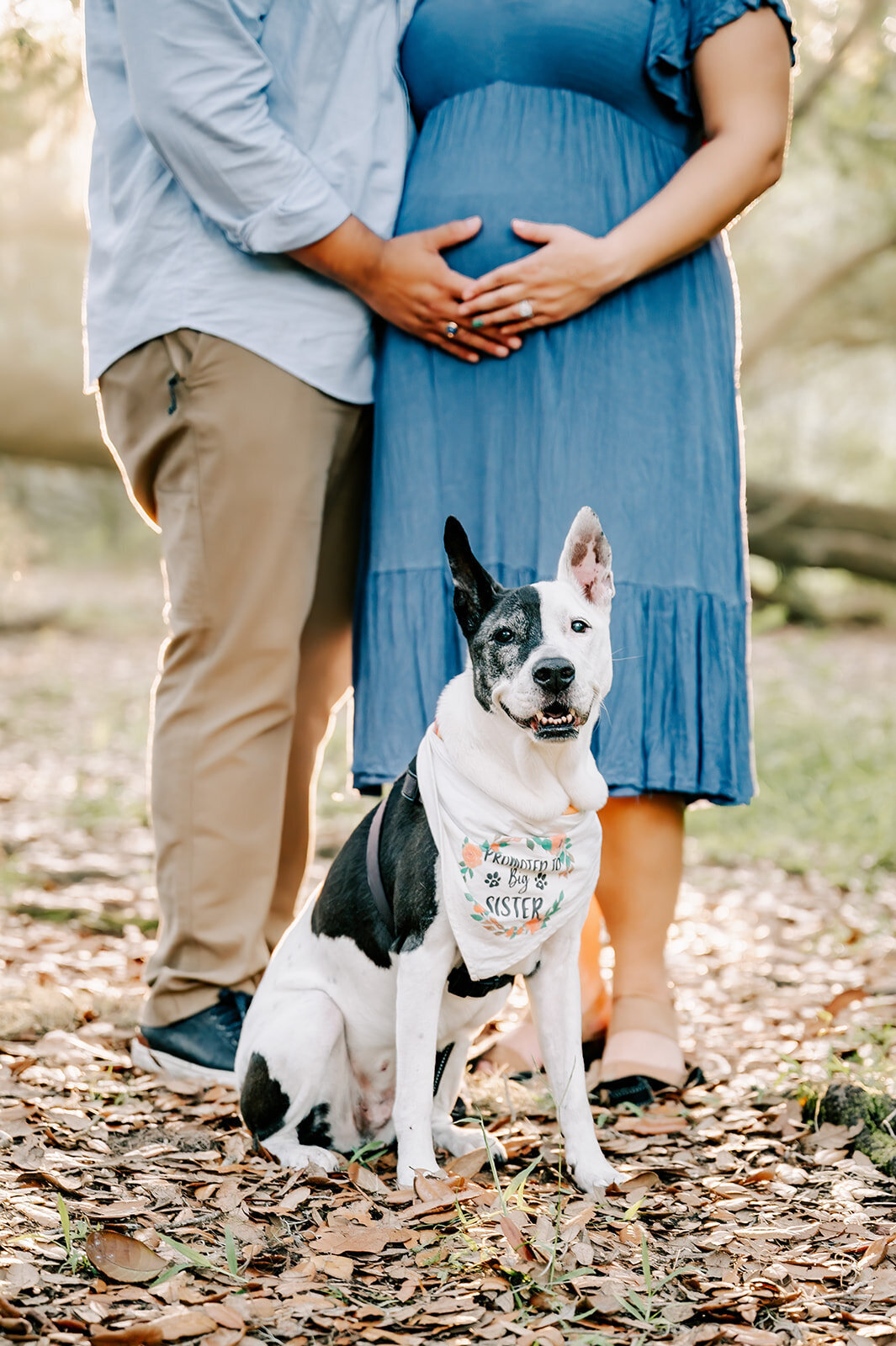 JAA_9504-Edit-Edit
