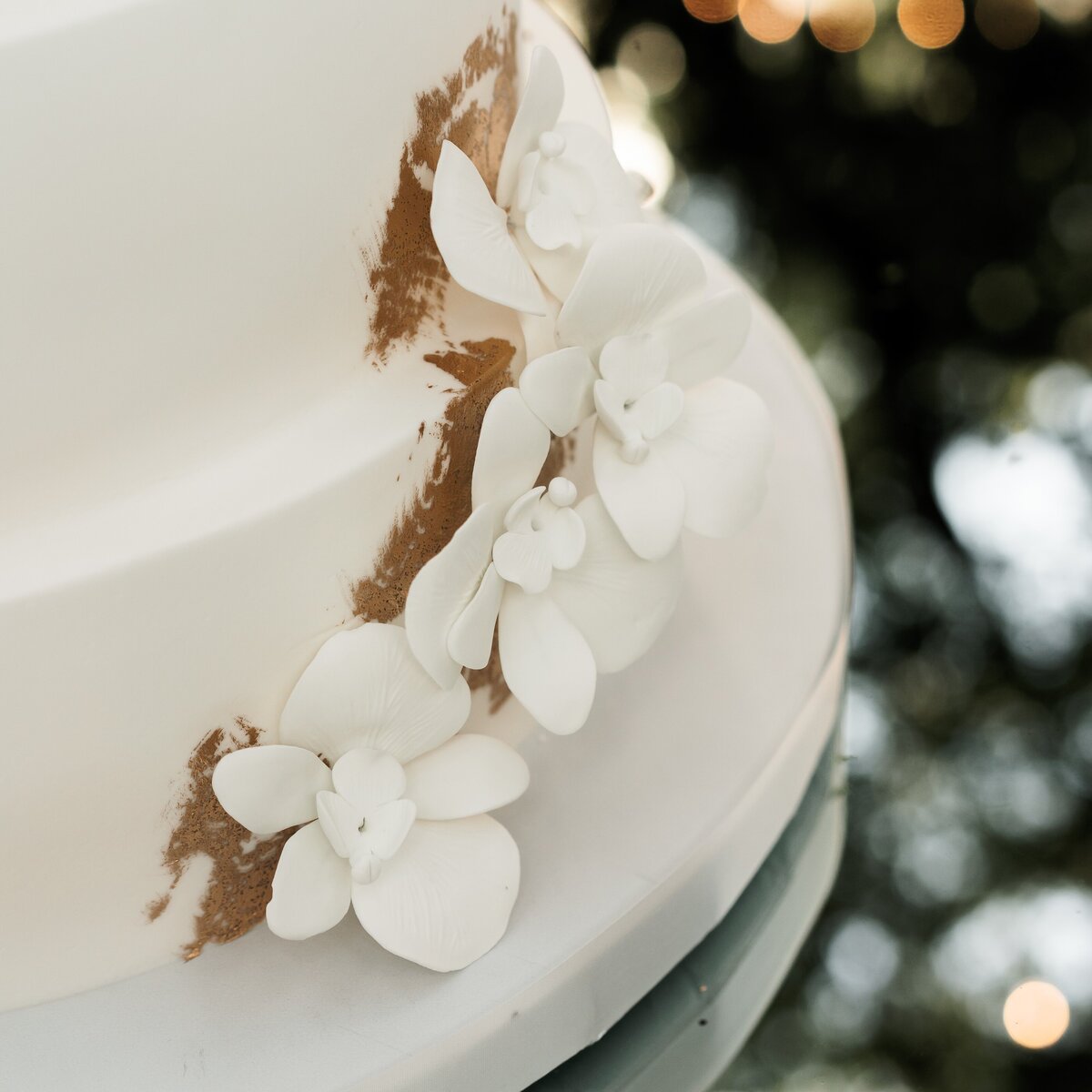 Sneak Peek - Shawn  Nasim-164-DSC02427 (2)