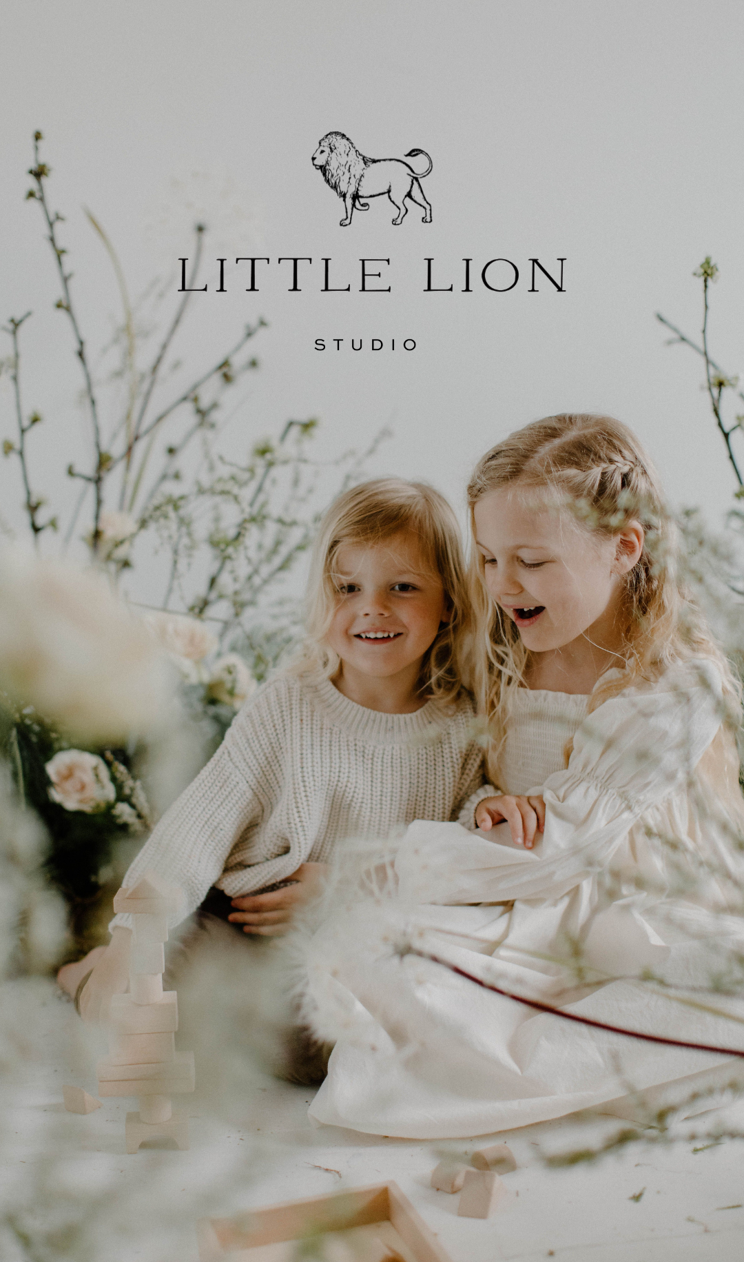 Little Lion Launch Graphics (Laura's Copy)