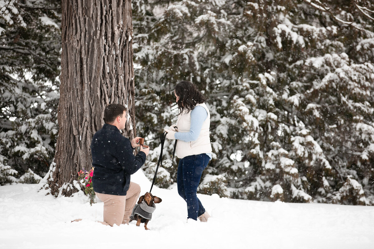Proposal_Photographer_Chicago-55