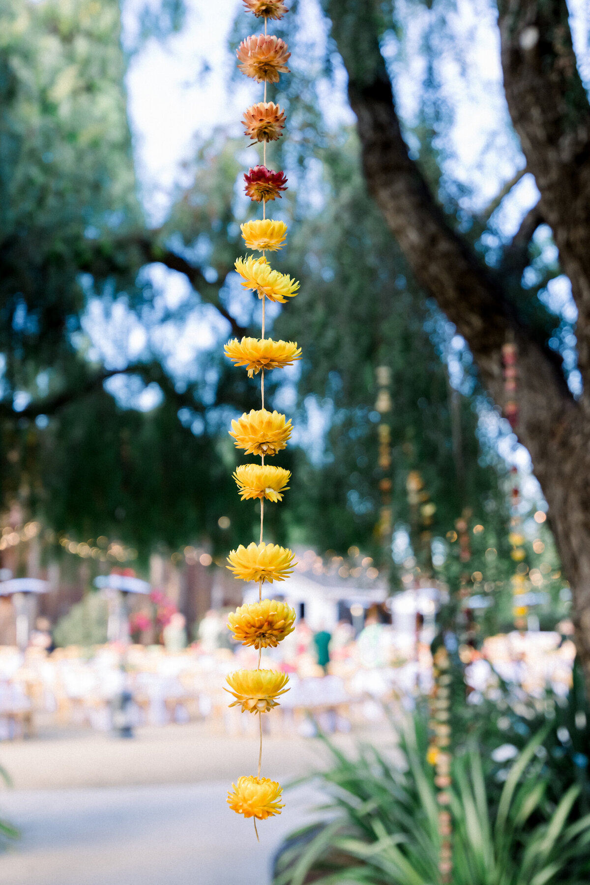 Tyler Speier Events - Indian Wedding - 039