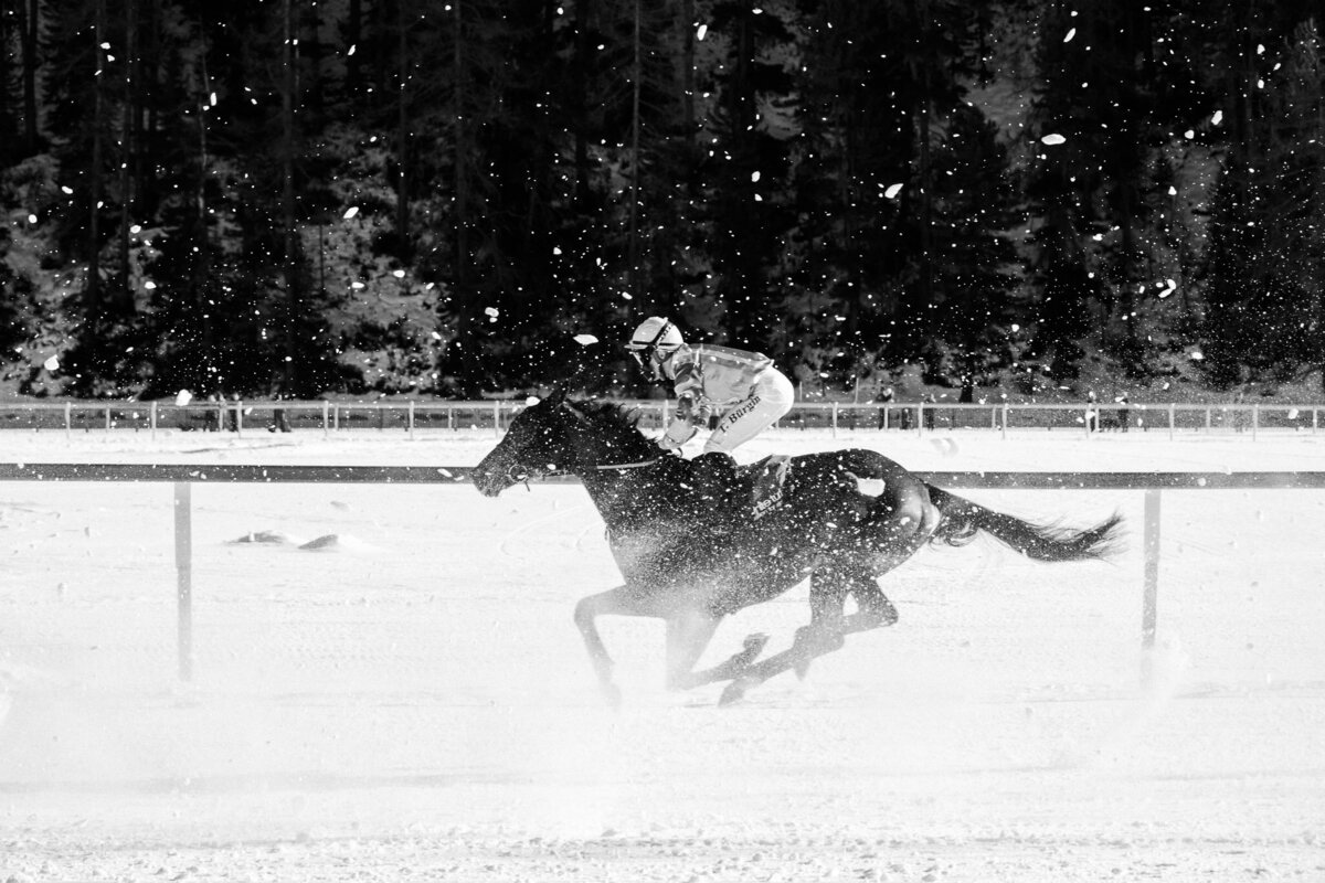 White Turf St. Moritz 24