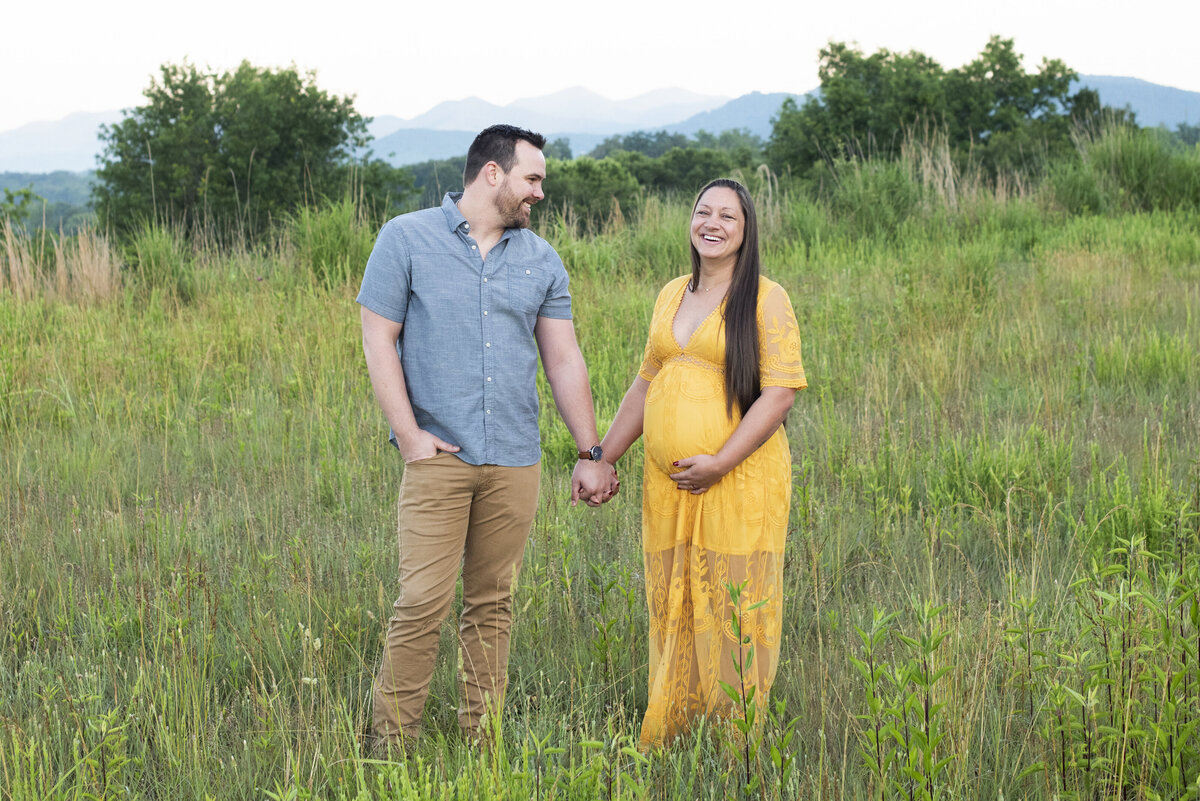 Asheville NC maternity photography mountain views field