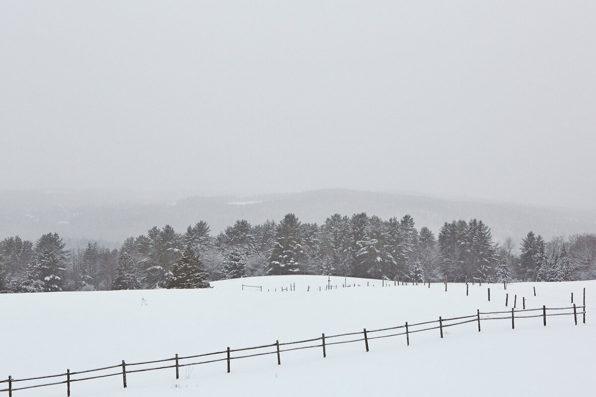 20131230_PROJECT_0155_01