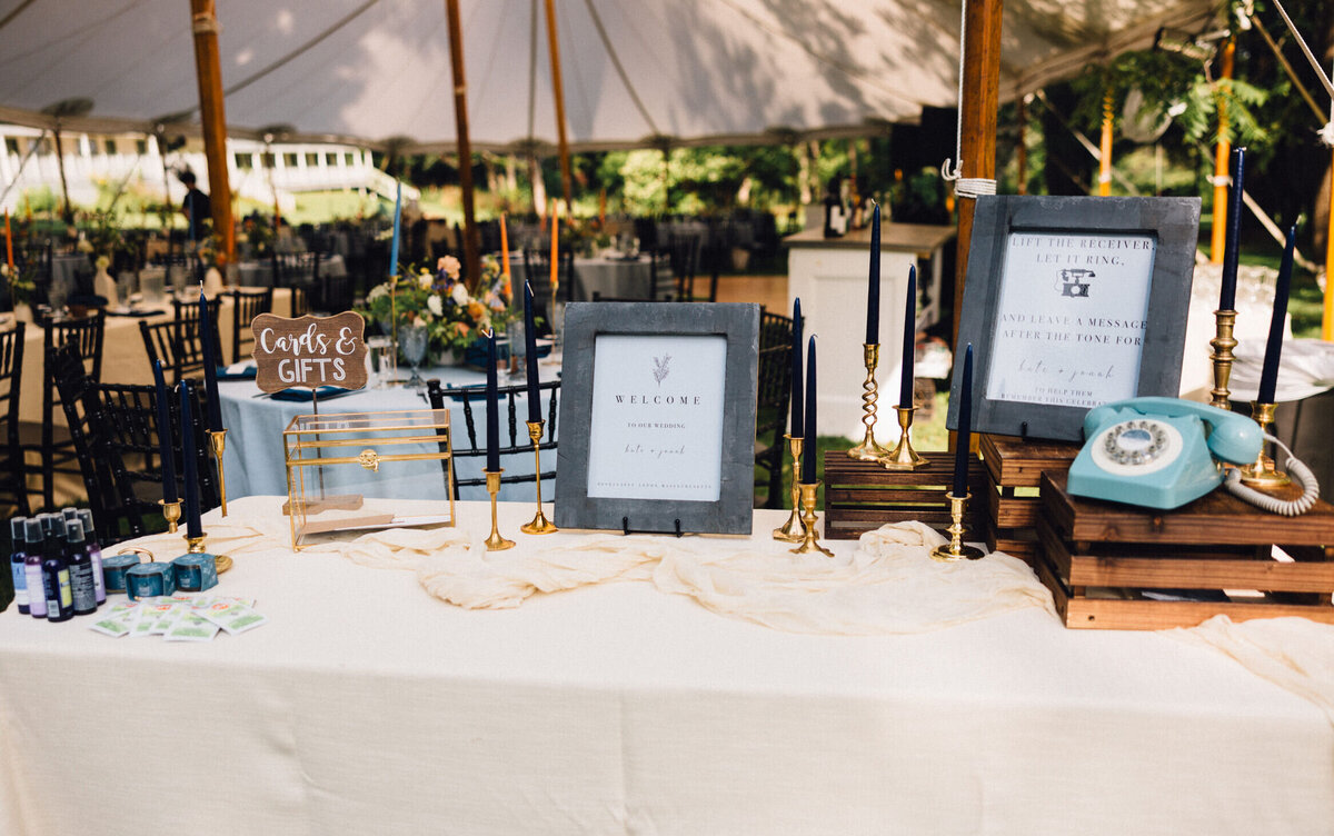 Kate-Jonah-Lenox-Wedding-35