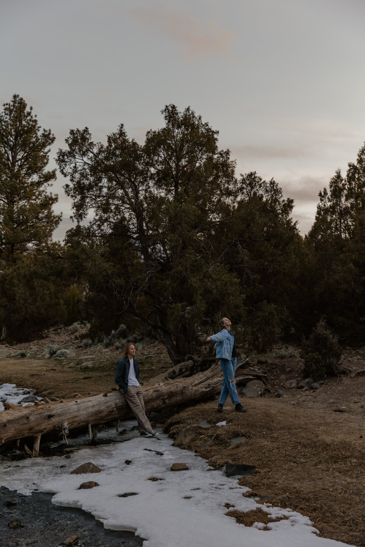 Husband admiring Wife in the woods photo