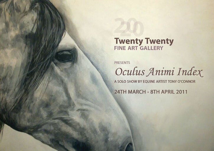 2020 art gallery cork ireland oculus animi index tony o-connor