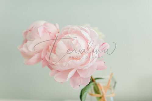 Floral Prints Photography in Orange County, CA