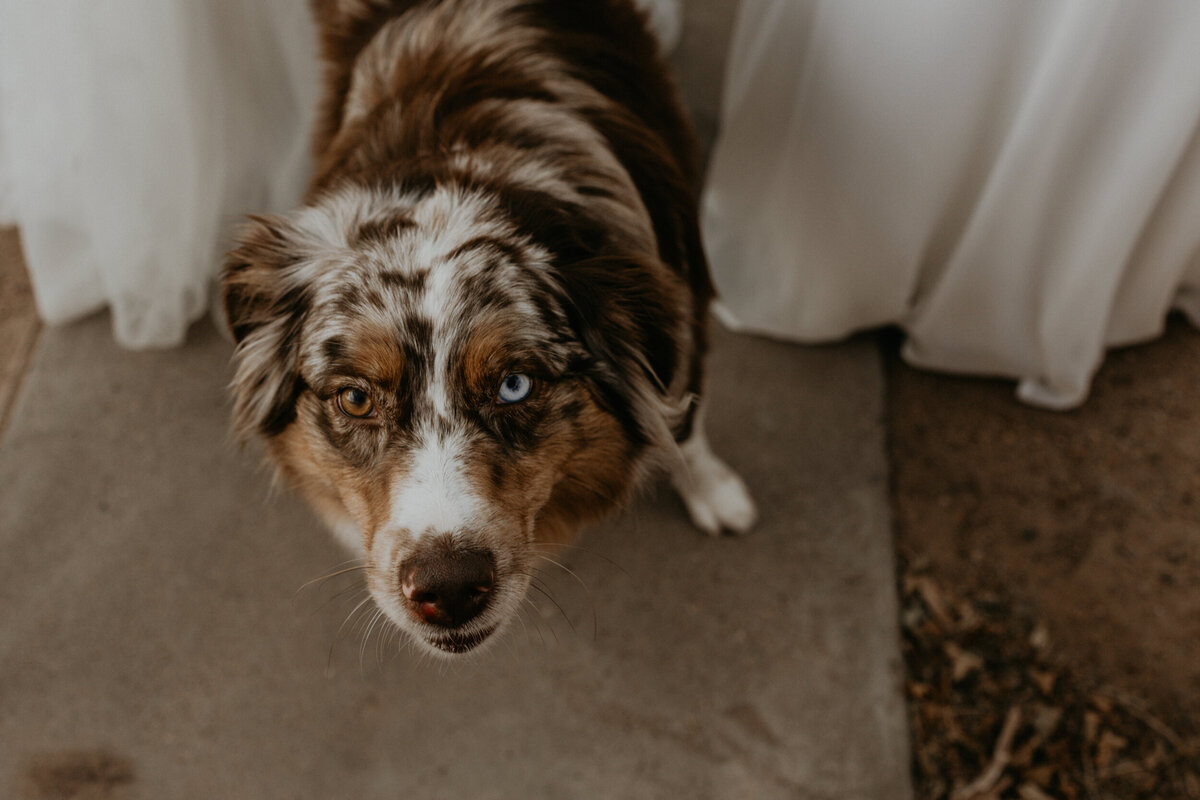 san-lorenzo-canyon-elopement-new-mexico-14