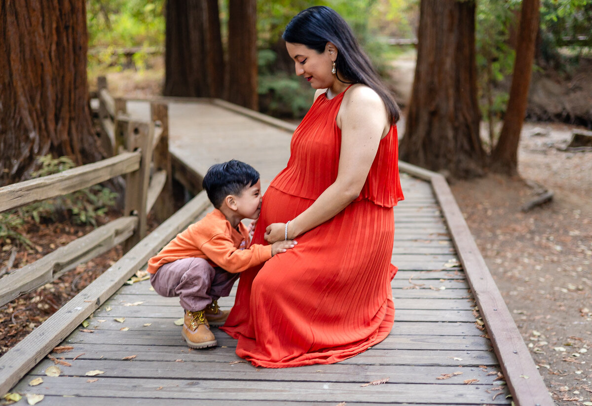 Bay Area Maternity Portfolio - Ellobelle Photography 53