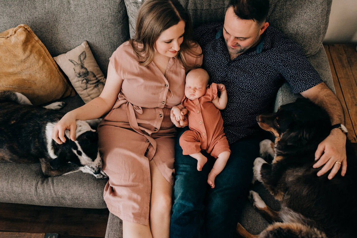 A young couple sits on their couch with their newborn daughter and their dogs during their photoshoot with Boston Newborn Photographer, Allison Wolf
