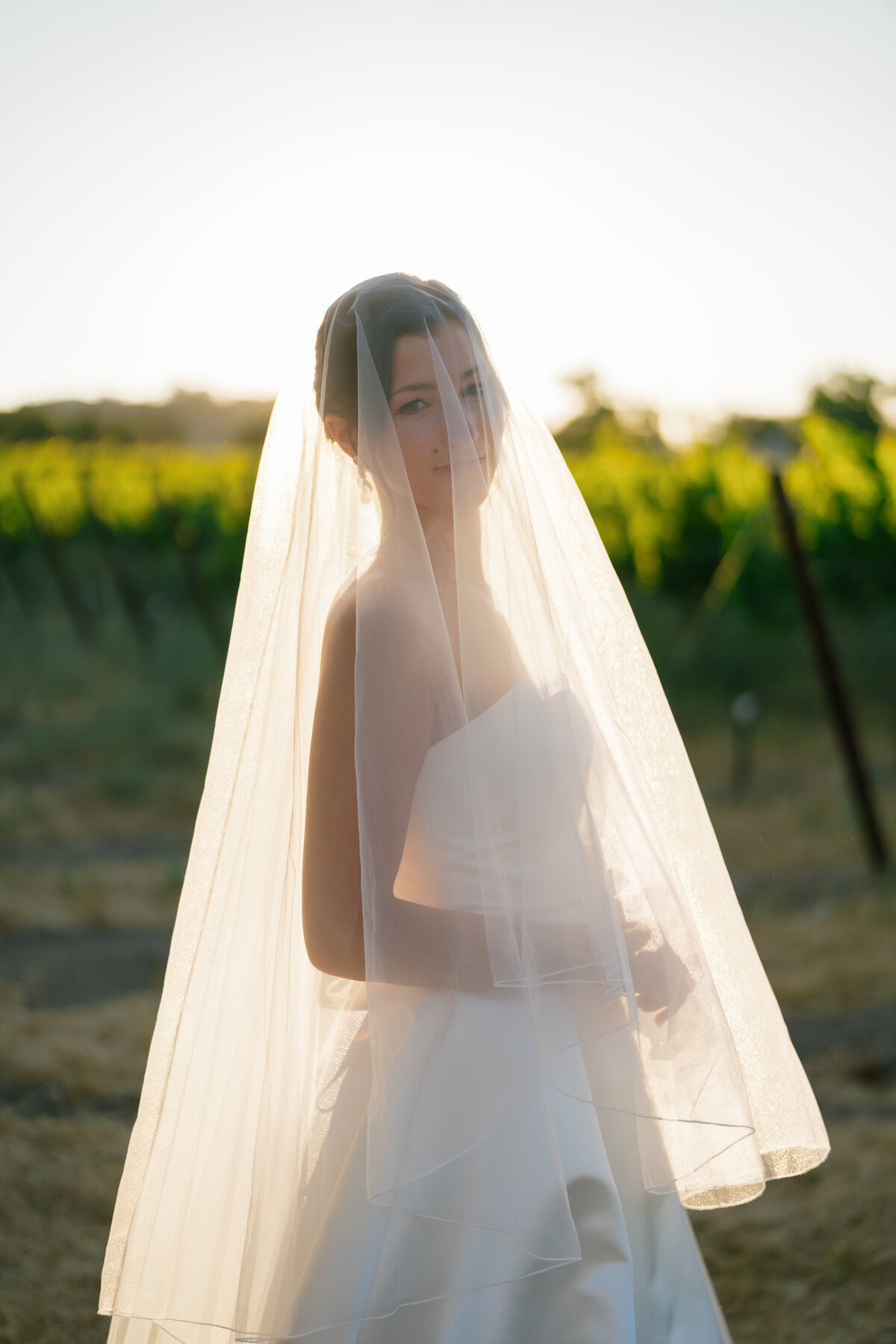 Lizzie Baker Photography _ Tori & Kevin Wedding _ 6.28.2025 _ California Wedding Photographer _ Sonoma Wedding Photographer _ California Winery Wedding Photographer-514