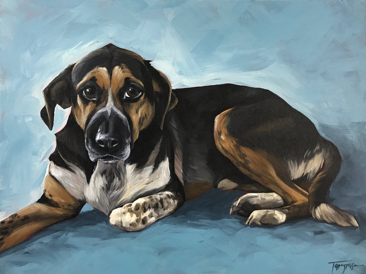 Torregrossa Fine Art Custom Pet Portrait by Stephanie T Gaffney