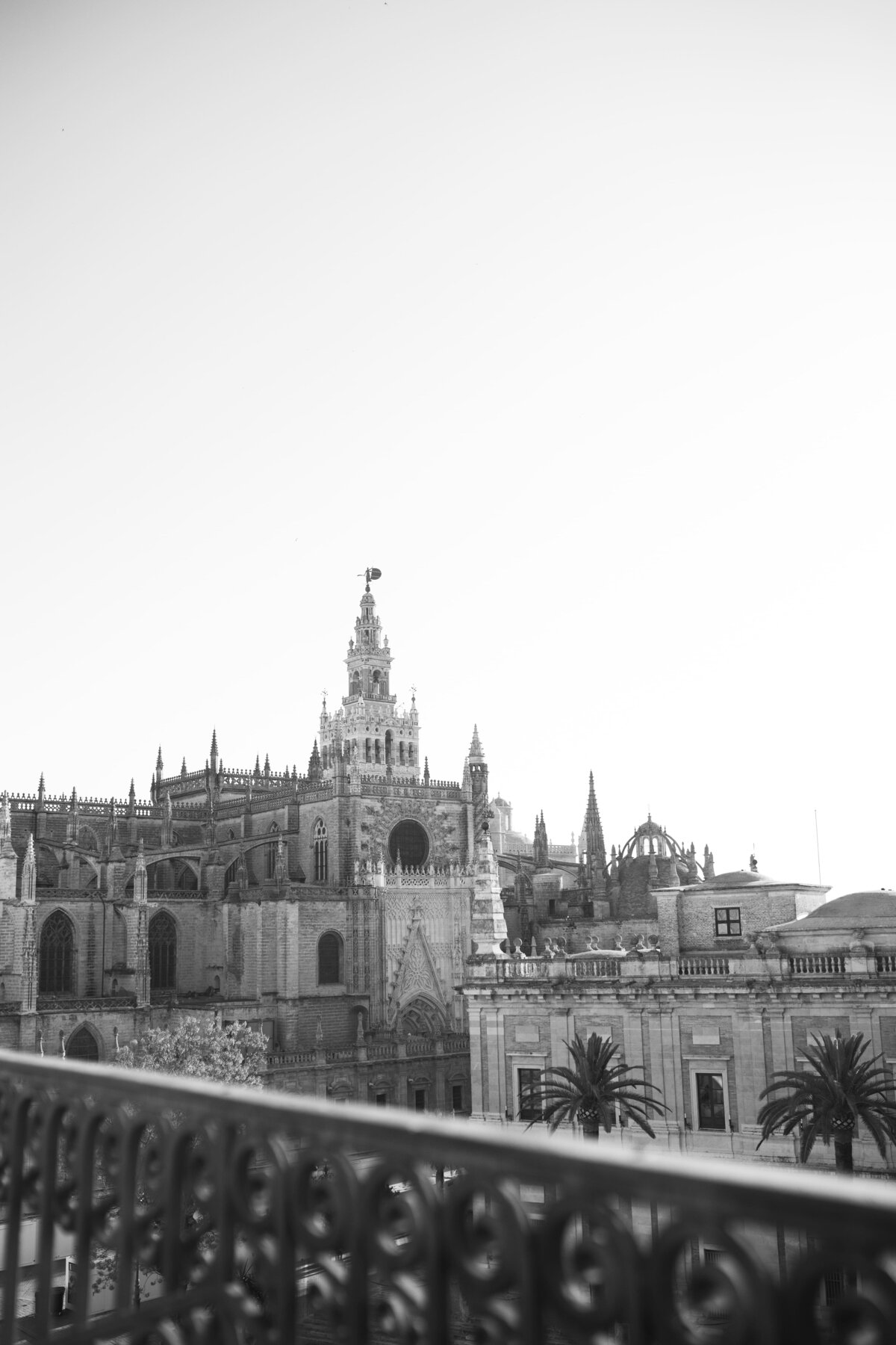 Aixa & Amer _GGWeddings_2025-32