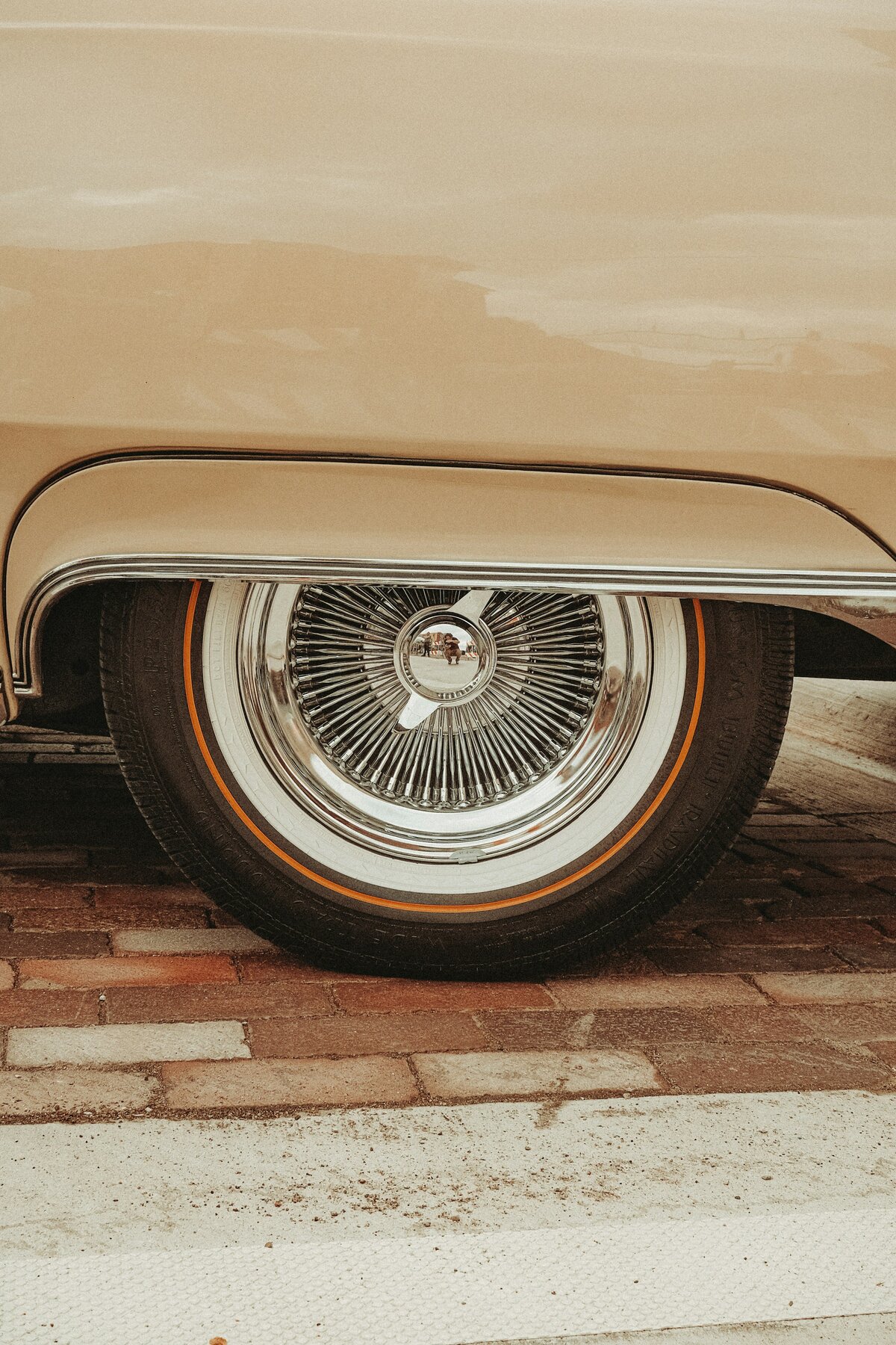 bruno-guerrero-DyiWy17QF10-unsplash