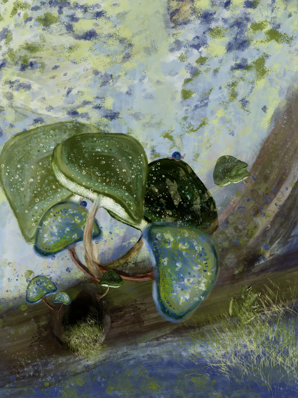Shrooms two