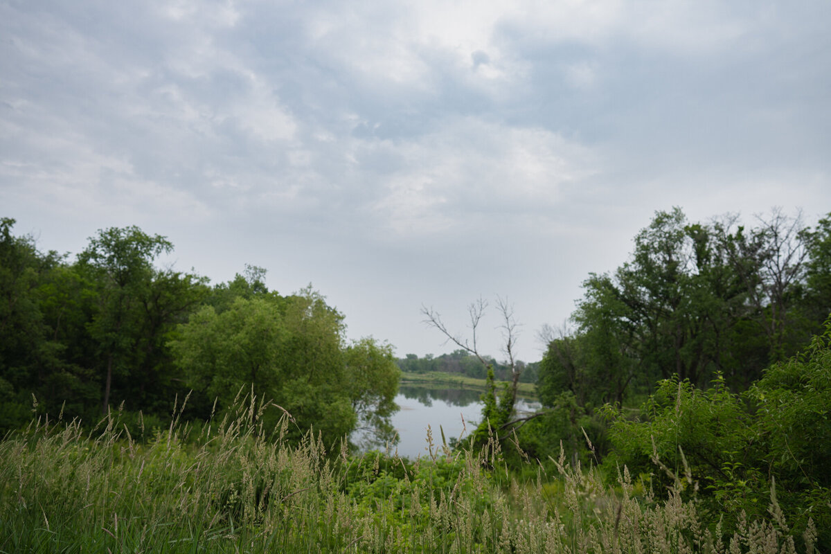 DSC08733