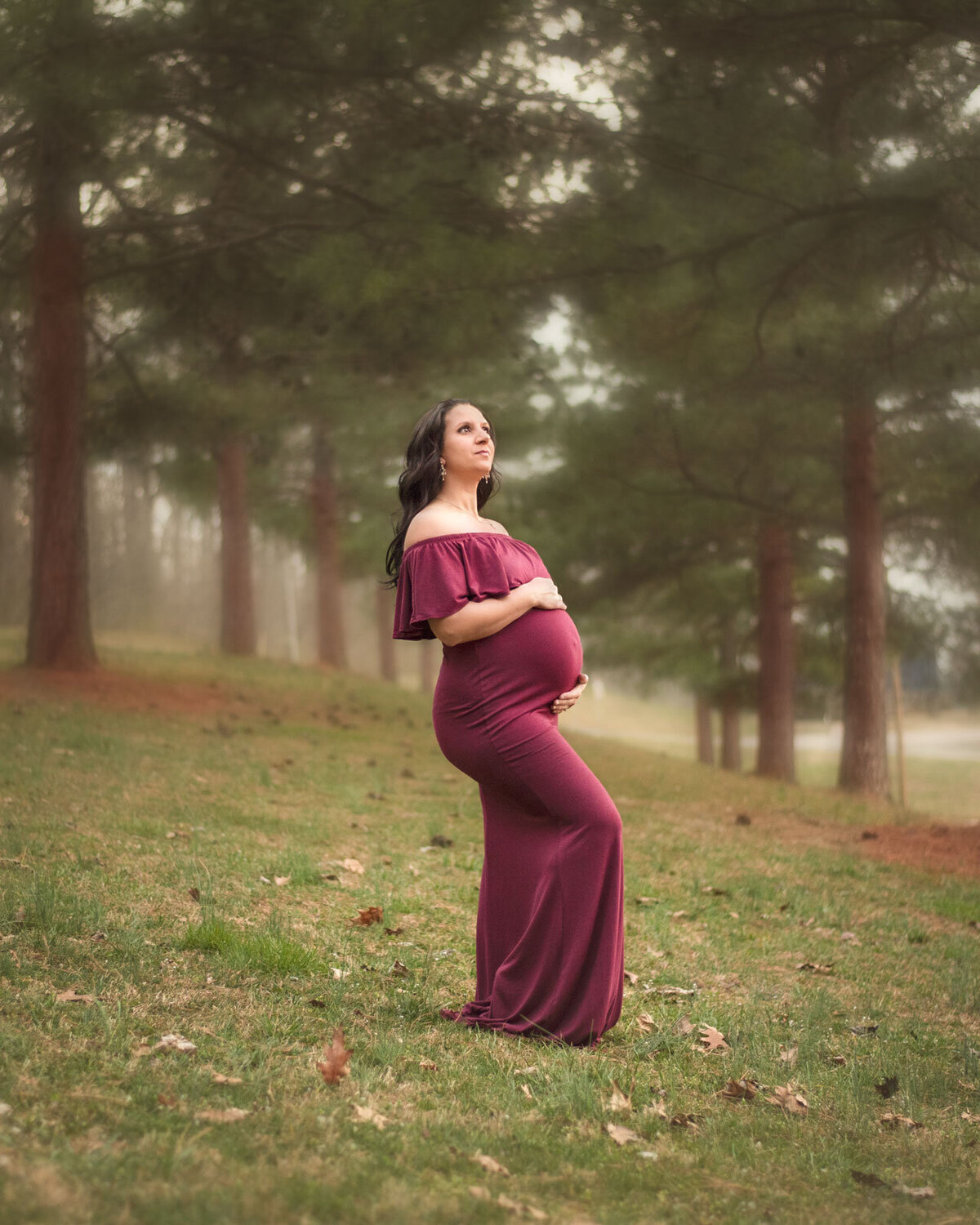 St. Louis maternity photographer