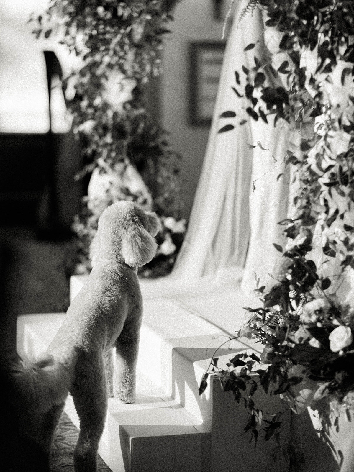 Jon & Angie -  Highlights - The Breakers - Palm Beach_ Florida - Chrissy O_Neill & Co. - South Florida Wedding Photographer-63