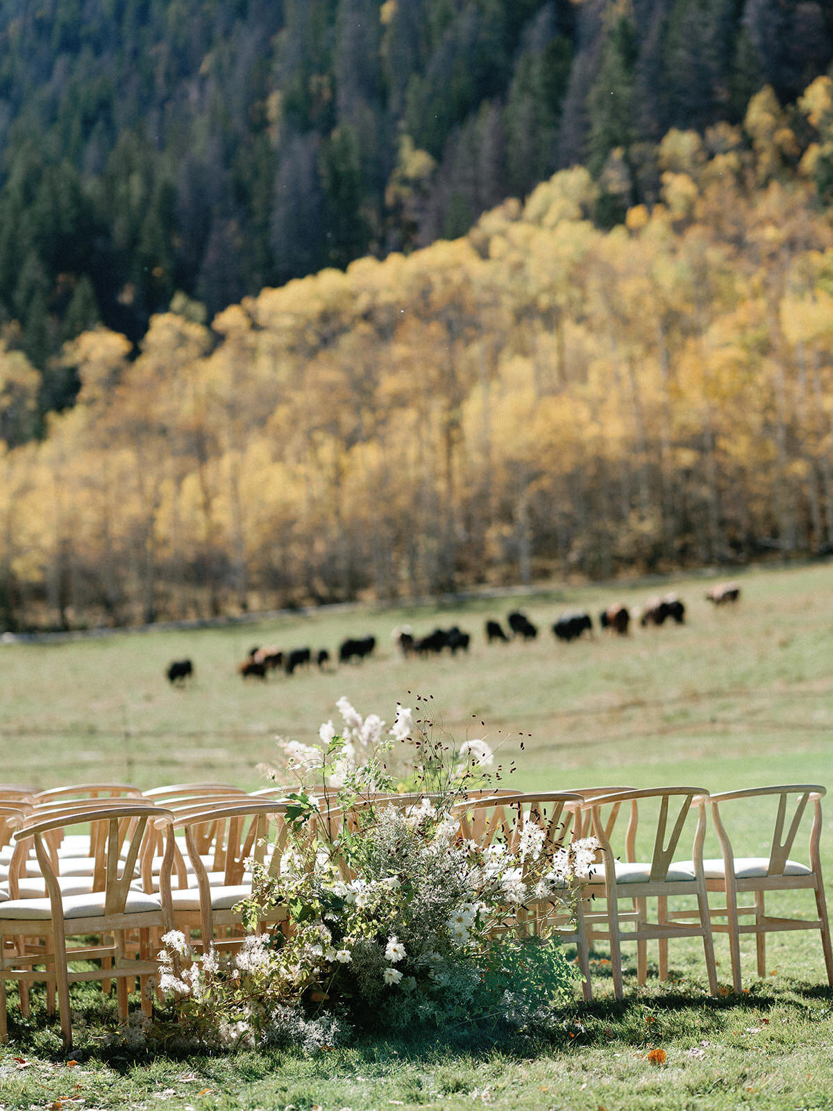 Aspen fall tented wedding at t lazy 7 ranch_RxL-46