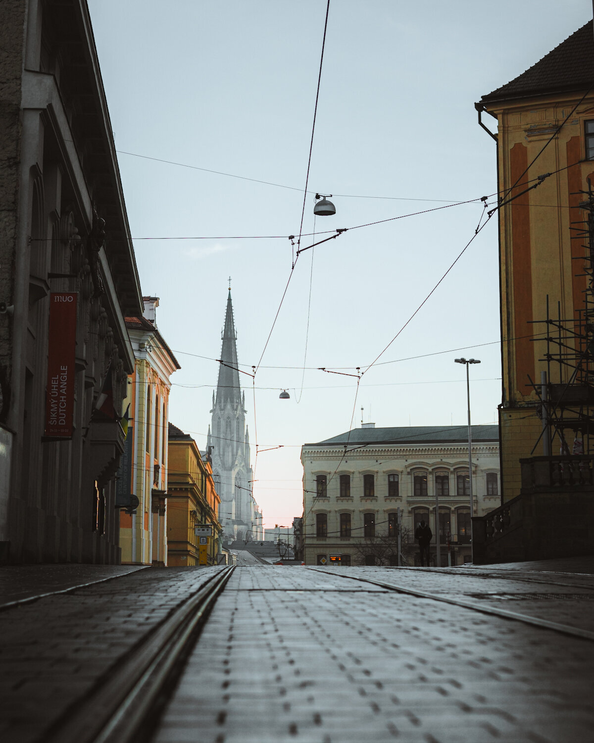 Bird_on_Birch_Olomouc_1