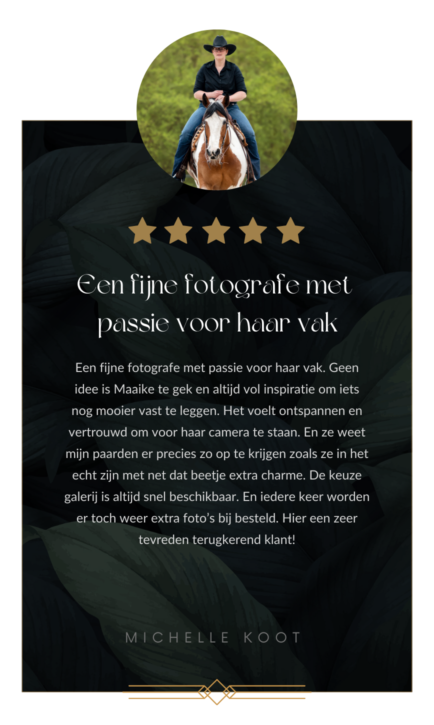 Michelle Koot review