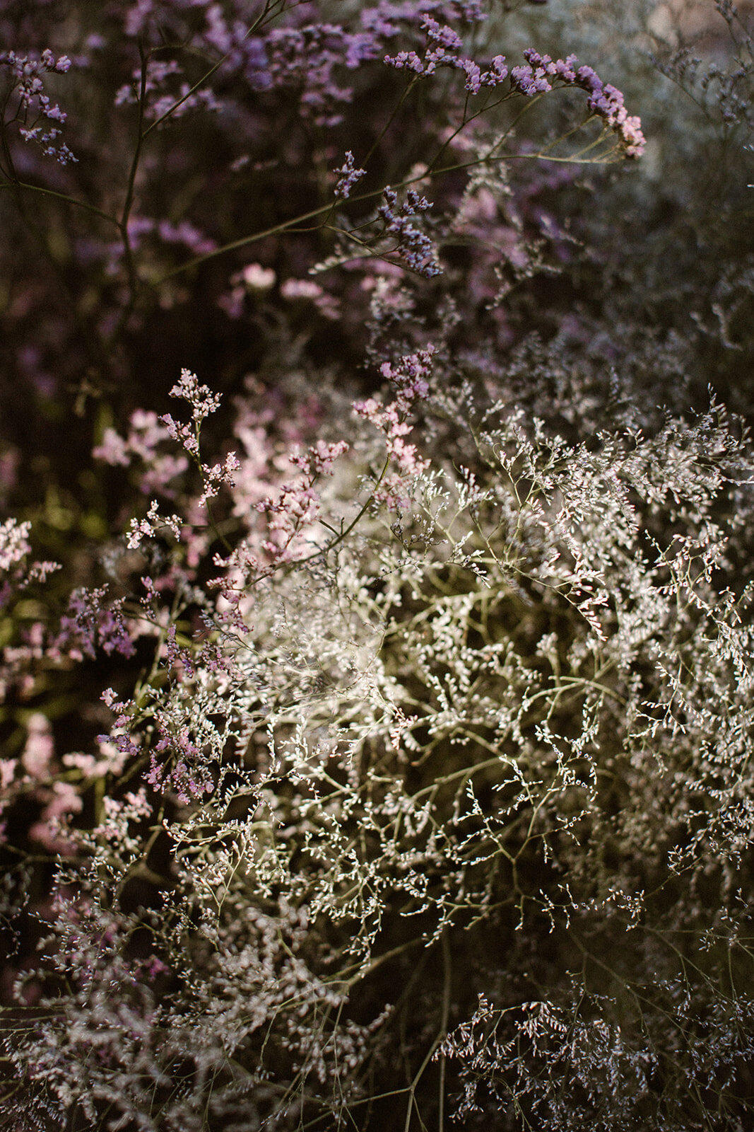 Amanda-Drost-Photography-723
