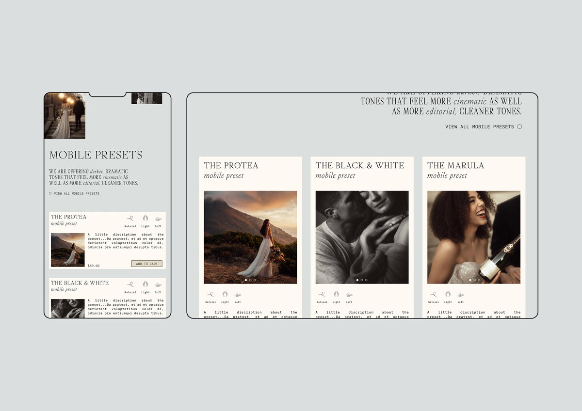 Roots Presets Style Guide3
