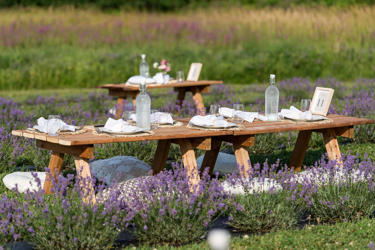 the picnic table setup with white dishes and pillows in the rows of lavender fields as part of the Soiree in the Field event  Captured by Ottawa Event Photographer JEMMAN Photography COMMERCIAL