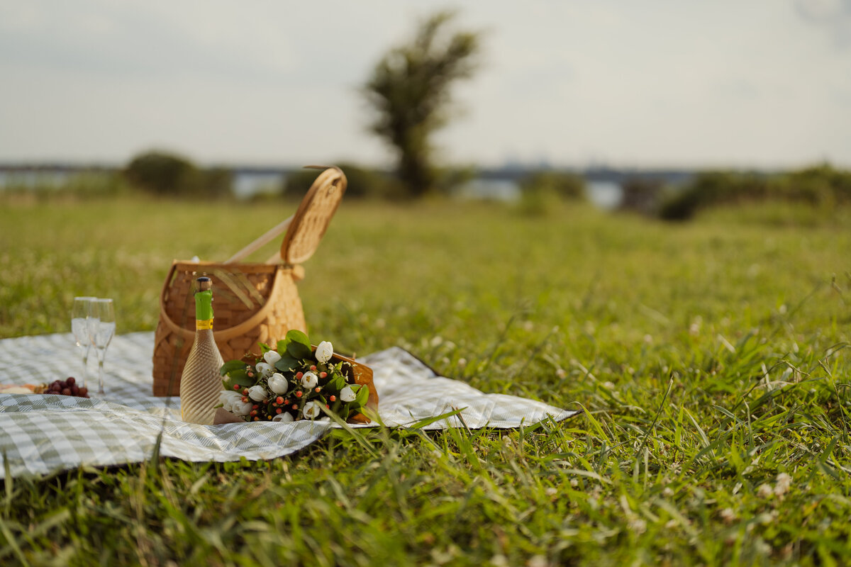 A styled picnic scene featuring a basket and wine on a checkered blanket, adding charm to an engagement session at White Rock Lake.