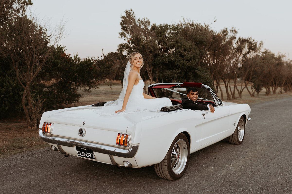 Sneak peek (179 of 195)