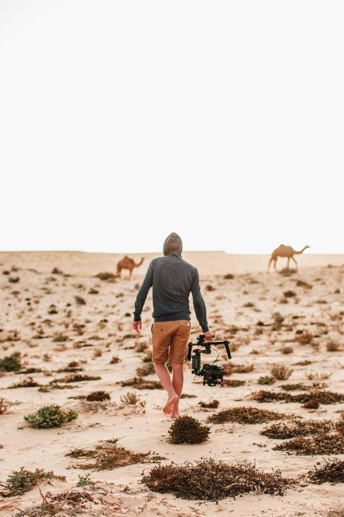 bertrand-bouchez-iqxlNLGk7_M-unsplash