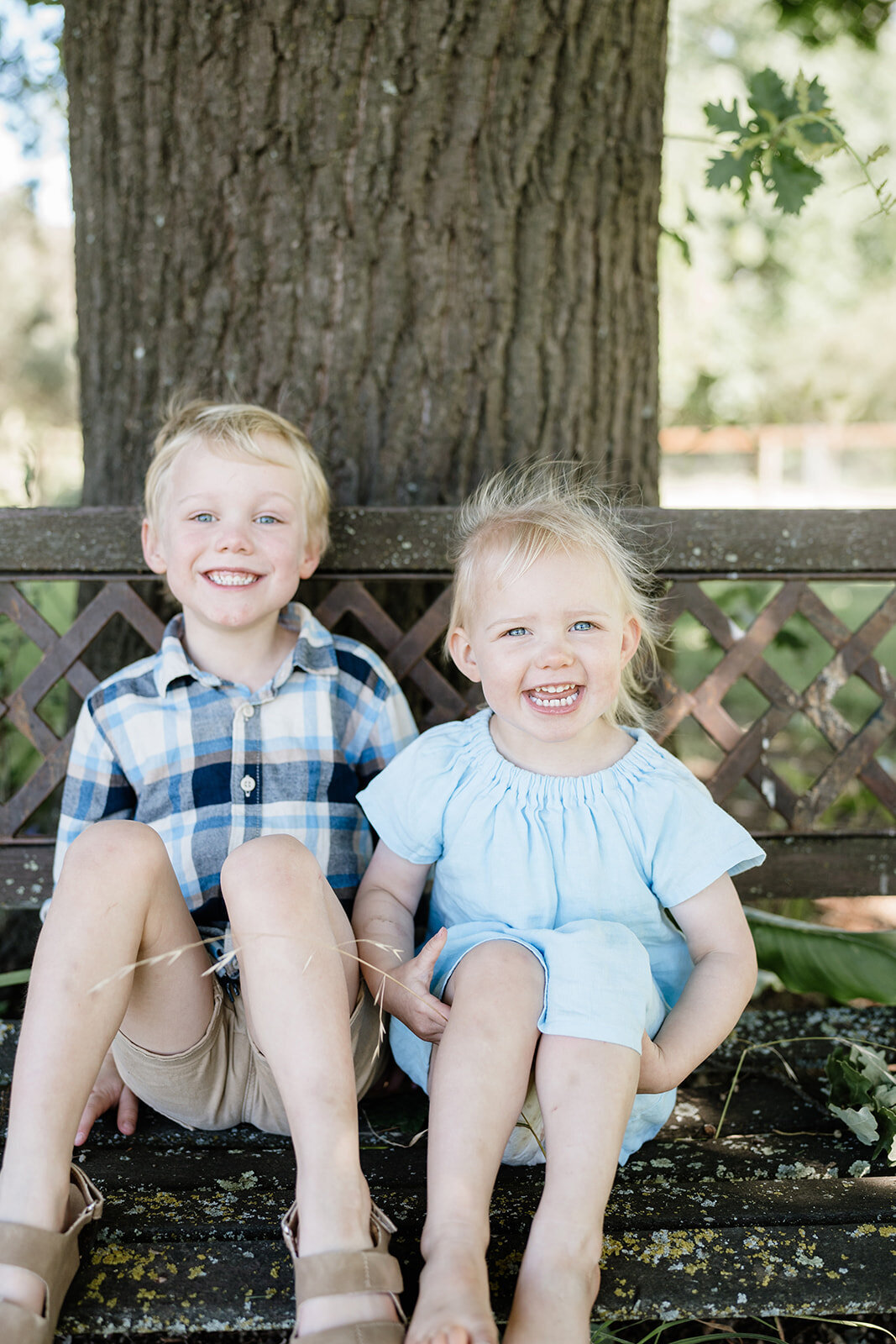 Harrington Family - Dec 2024 - JessicaCarrollPhotographer-71_websize