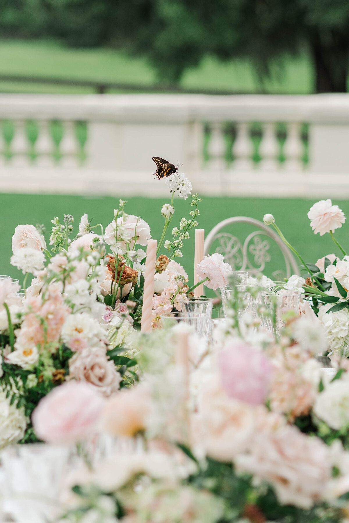 butterfly standing on wedding center pices