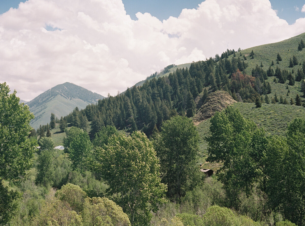 Idaho Wedding Photographer- Jenny Losee-62