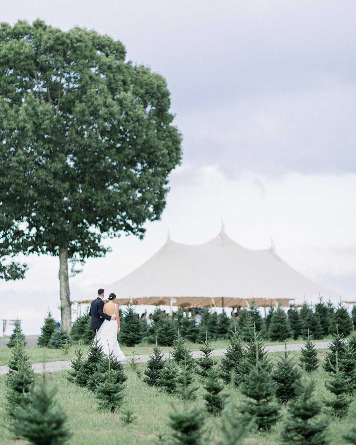 Marie Cowan Photography