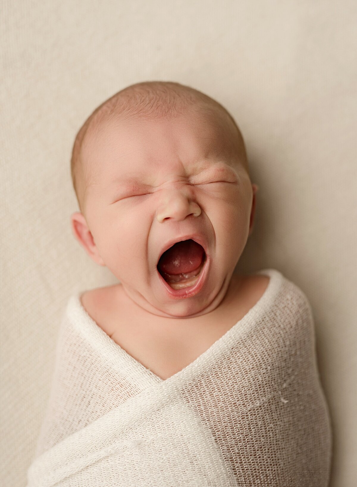 wales newborn photographer