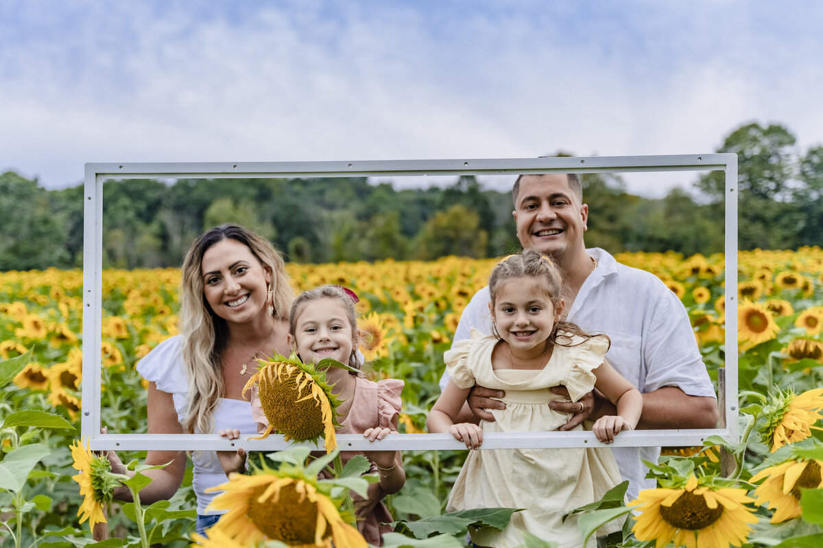 sussex country sunflower maze family photographs (108)