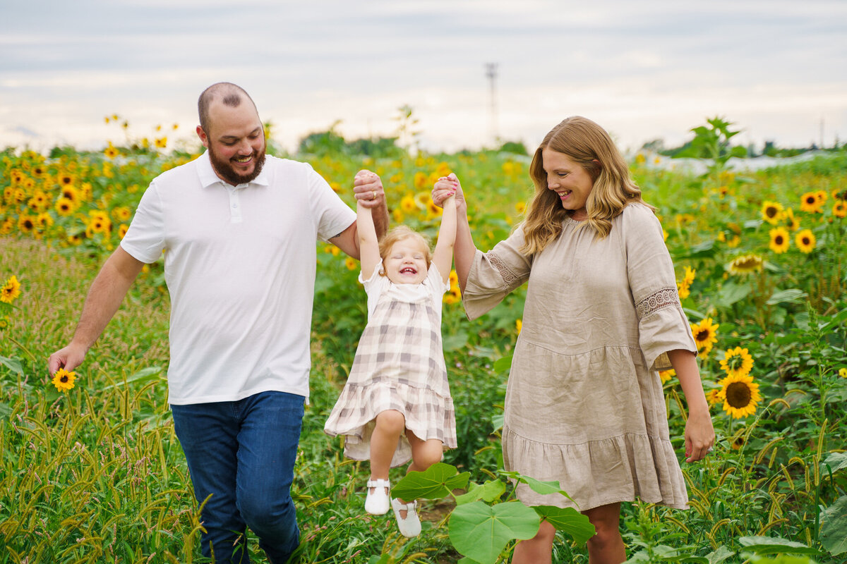 Parents swing their daughter and laugh together in a patch of sunflowers - Lynd Fruit Farm Pataskala, Ohio.