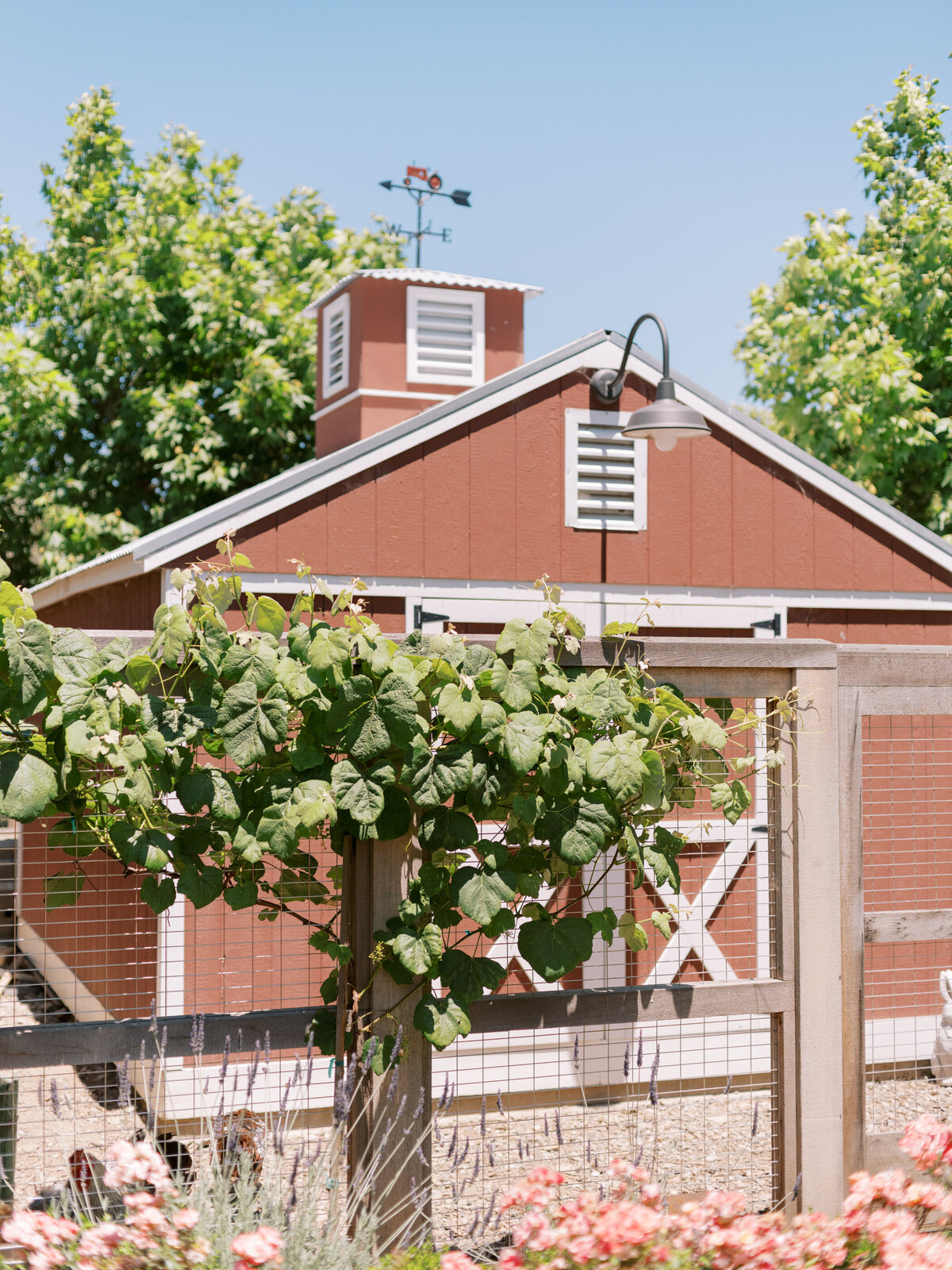 Carneros Resort Wedding Napa-4