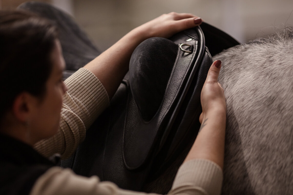 Zwaan zadelservice, zadelproblemen, duurzame ruitersport, paardenwelzijn, paard, blessures, ruiter, zadel, zadelpasconsult, palpatie, controle, nieuw zadel, zadelmerken, frank baisses saddlery, ikonic saddlery, arena saddles, wintec saddles, treeclix, LeMieux, acavallo, connect, revalidatie, veiligheidscheck zadel, bijvullen, singelstoten vervangen