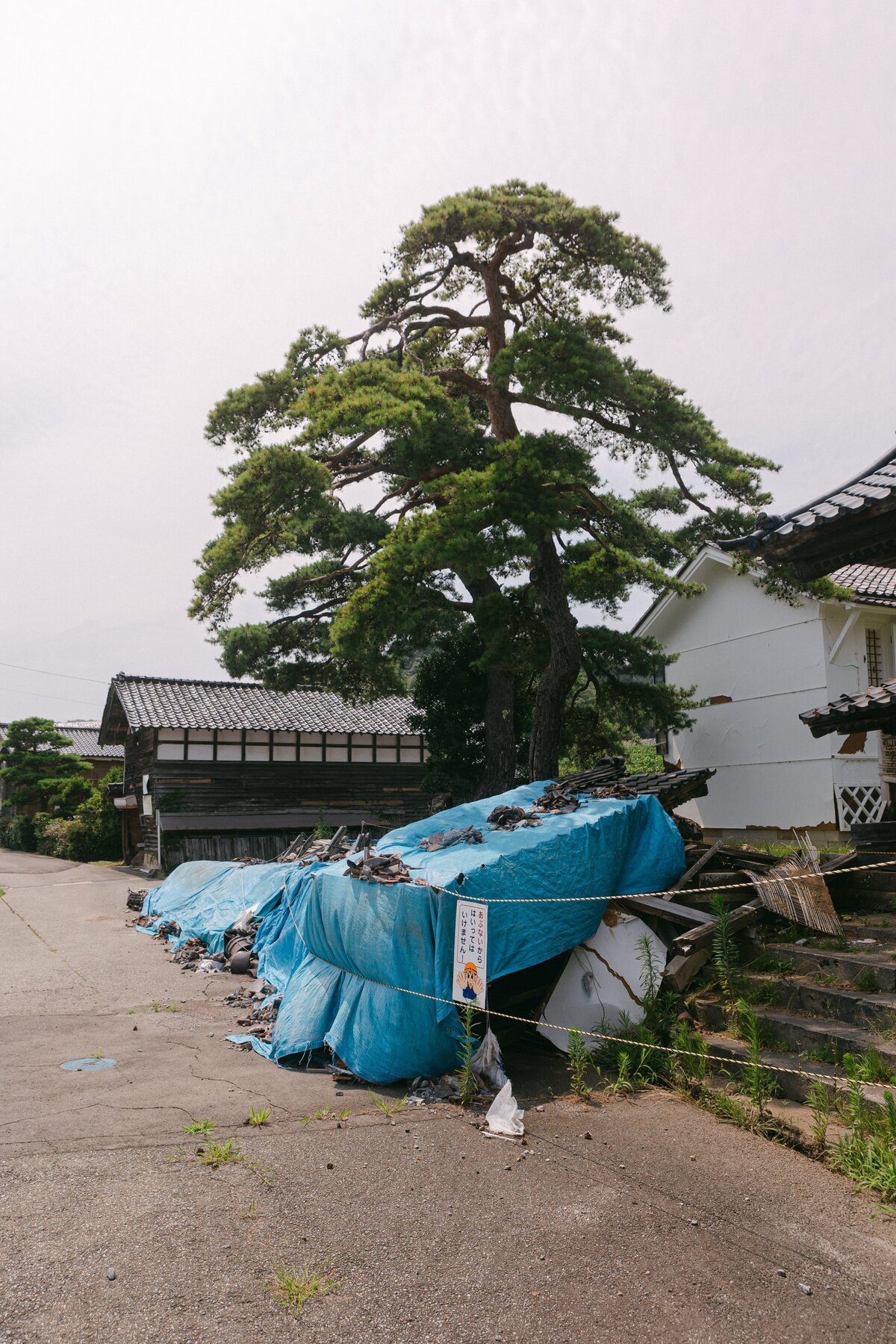 0223-Falling-Doves-Support-Sake-Tour-24-Japan-Noto-Matsunami-0026-JOURNAL-0223