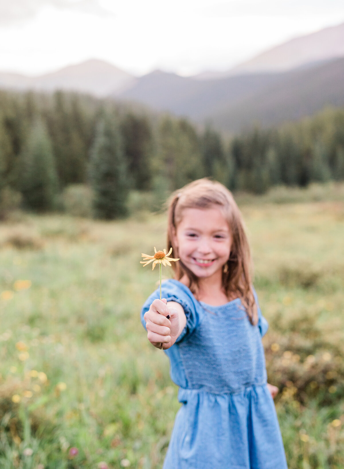 A young girl in a blue dress holds out a yellow flower she has picked from the field behind her.