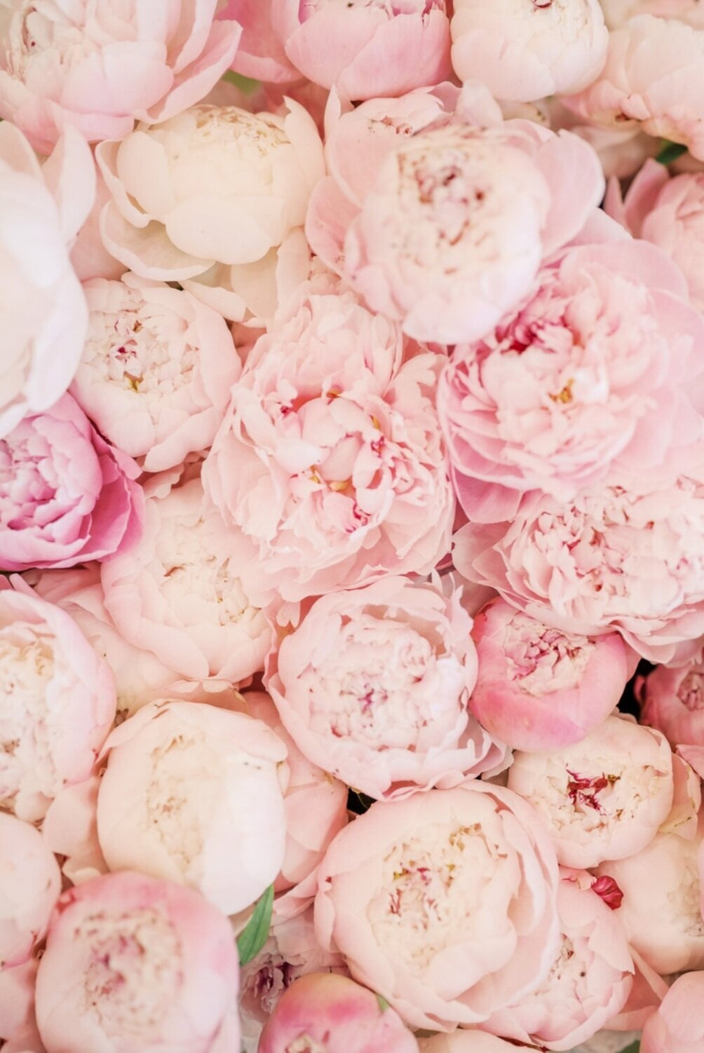 Screenshot_20251122-162207_Chrome